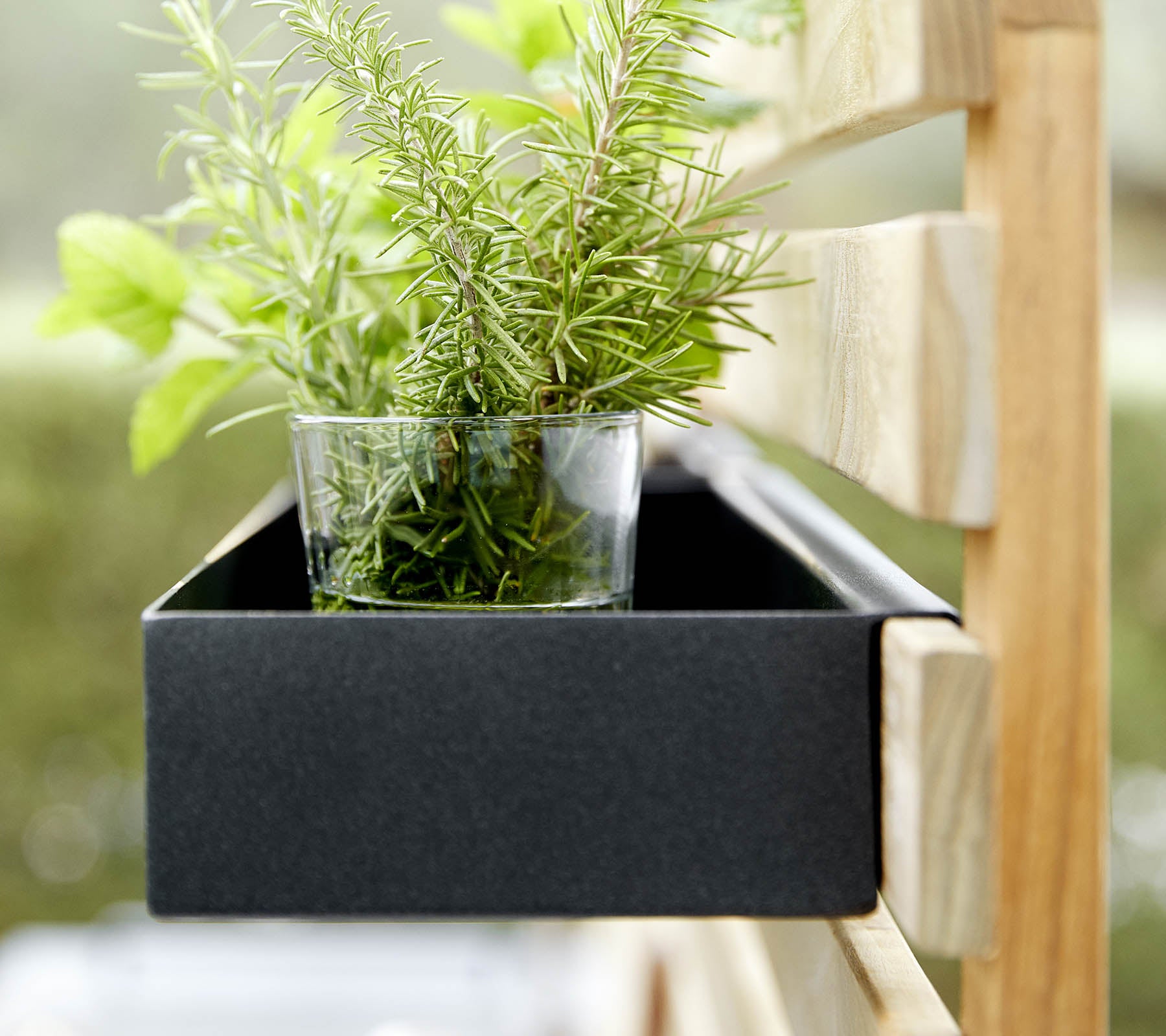 Una caja de plantas negra contiene un vaso con hierbas verdes frescas, colocado contra un marco de madera.