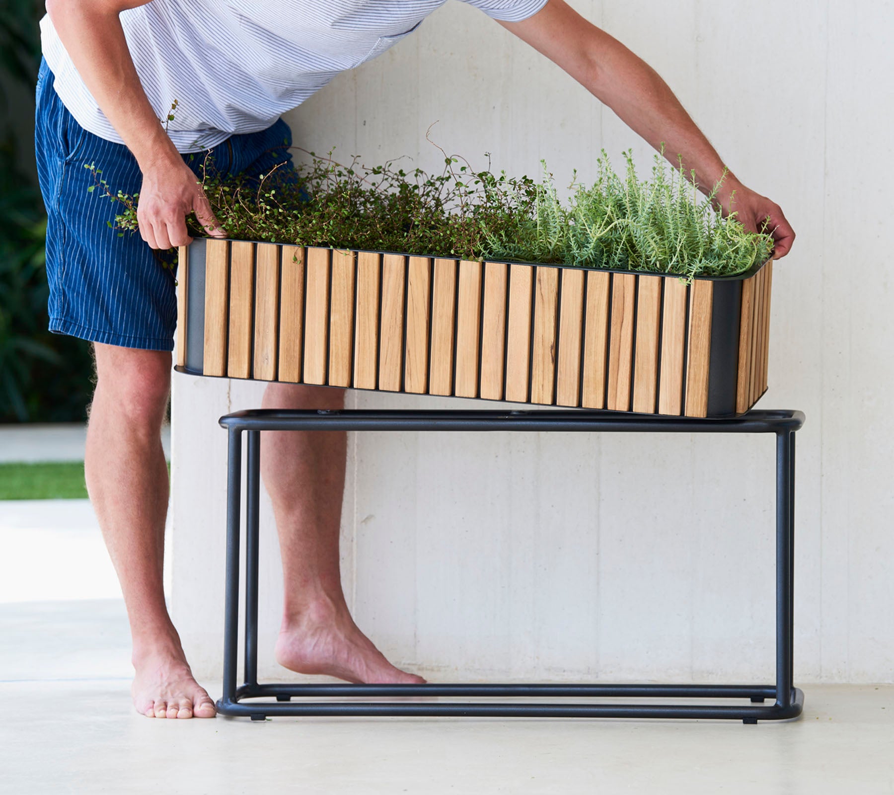 Una persona organiza plantas en un jardinero de madera sobre un elegante soporte de metal, exhibiendo una mezcla de elementos de diseño natural y moderno.