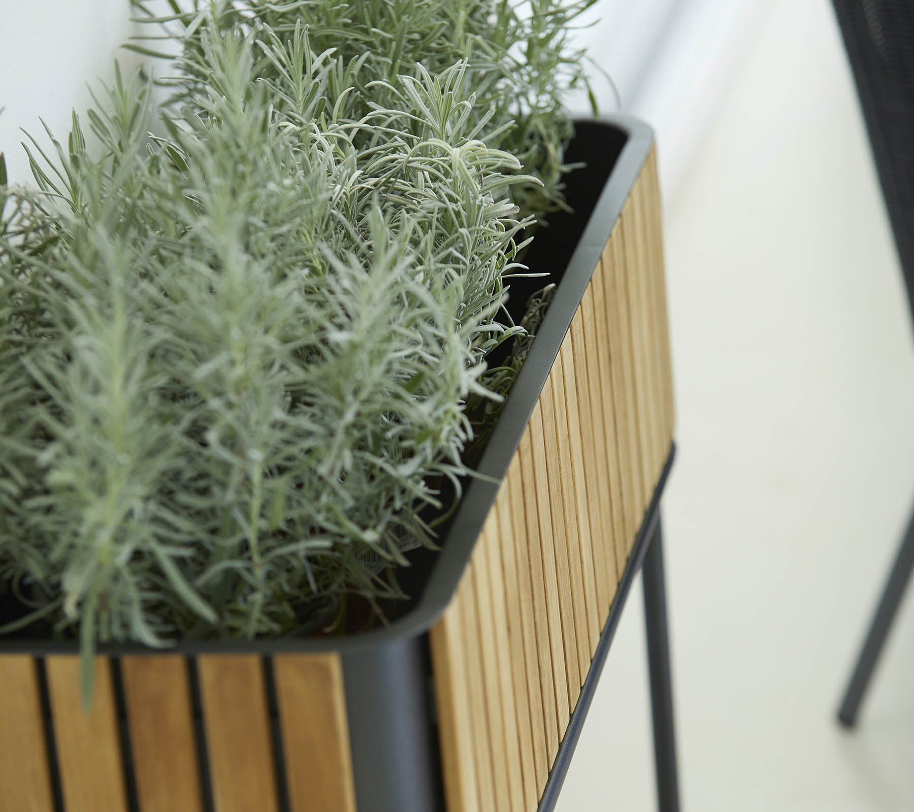 Plantas con un diseño elegante que presenta un exterior de listones de madera y exuberantes plantas verdes, añadiendo un toque de naturaleza al entorno.