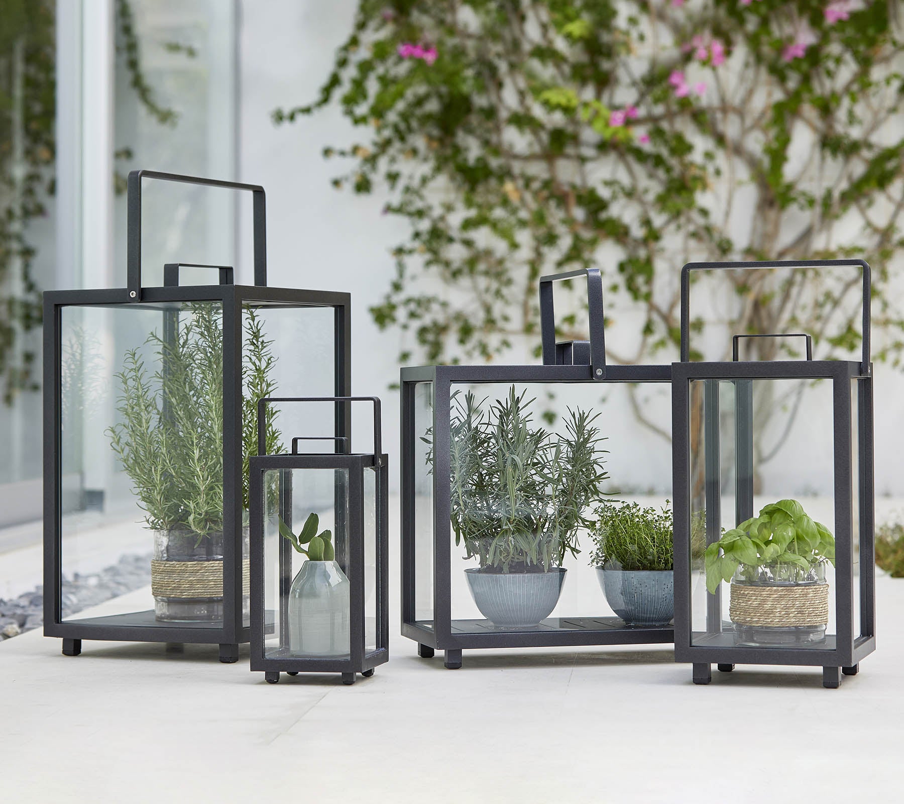 Cuatro faroles de vidrio geométricos con diversas plantas en macetas en su interior, mostrando un diseño moderno y vegetación.