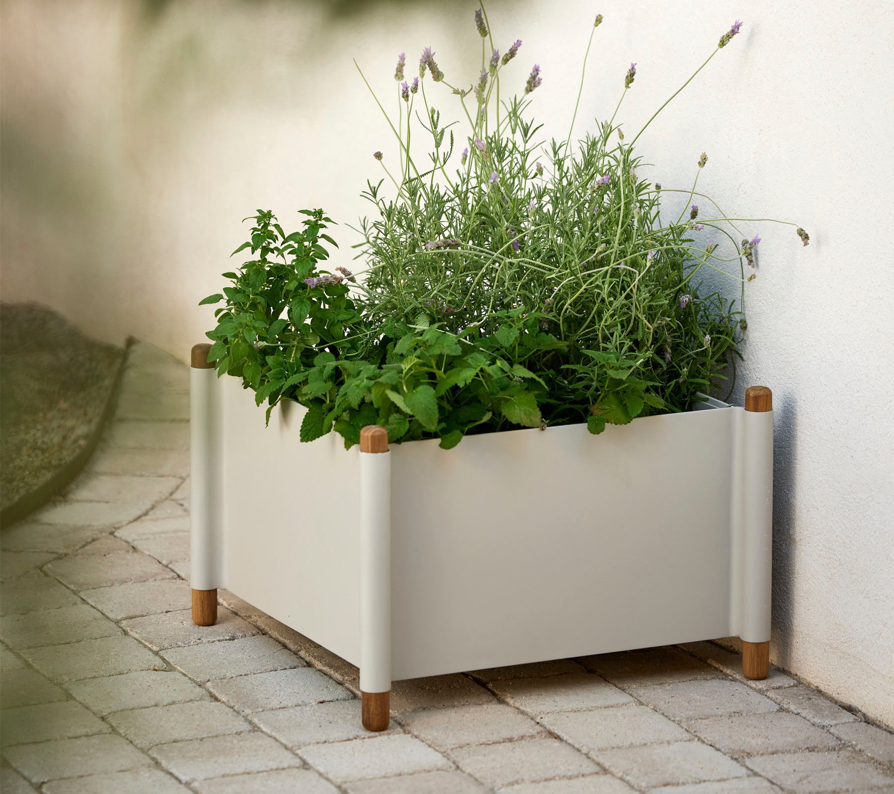 Una caja de plantas moderna llena de varias hierbas y plantas verdes, con acentos de madera natural en las esquinas.