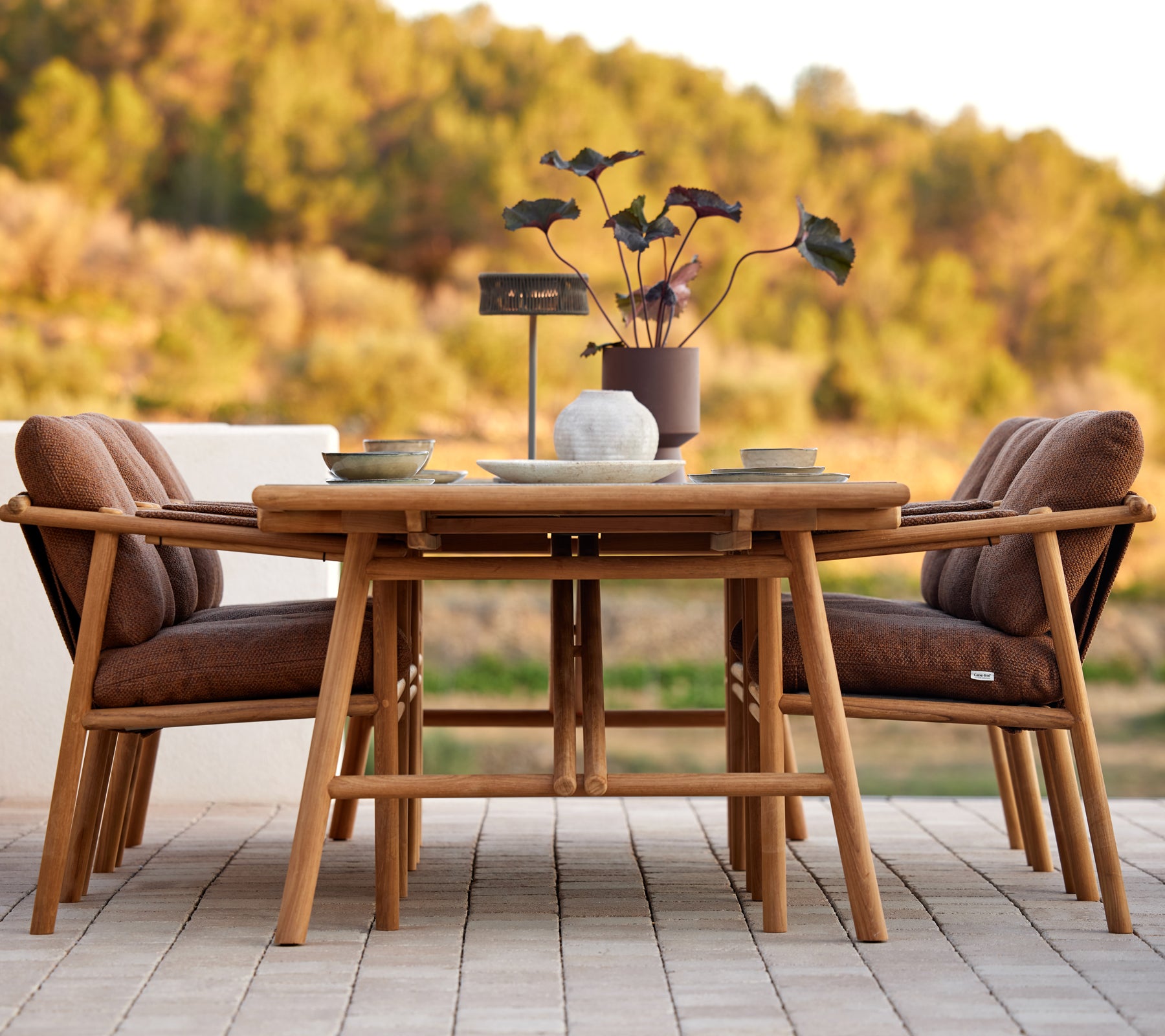 Conjunto de mesa de comedor de teca con cojines elegantes, rodeado de un centro de plantas decorativas, perfecto para reuniones.