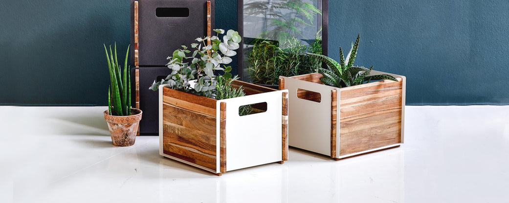 Wooden boxes with plants, featuring a mix of greenery and elegant design, arranged on a flat surface.