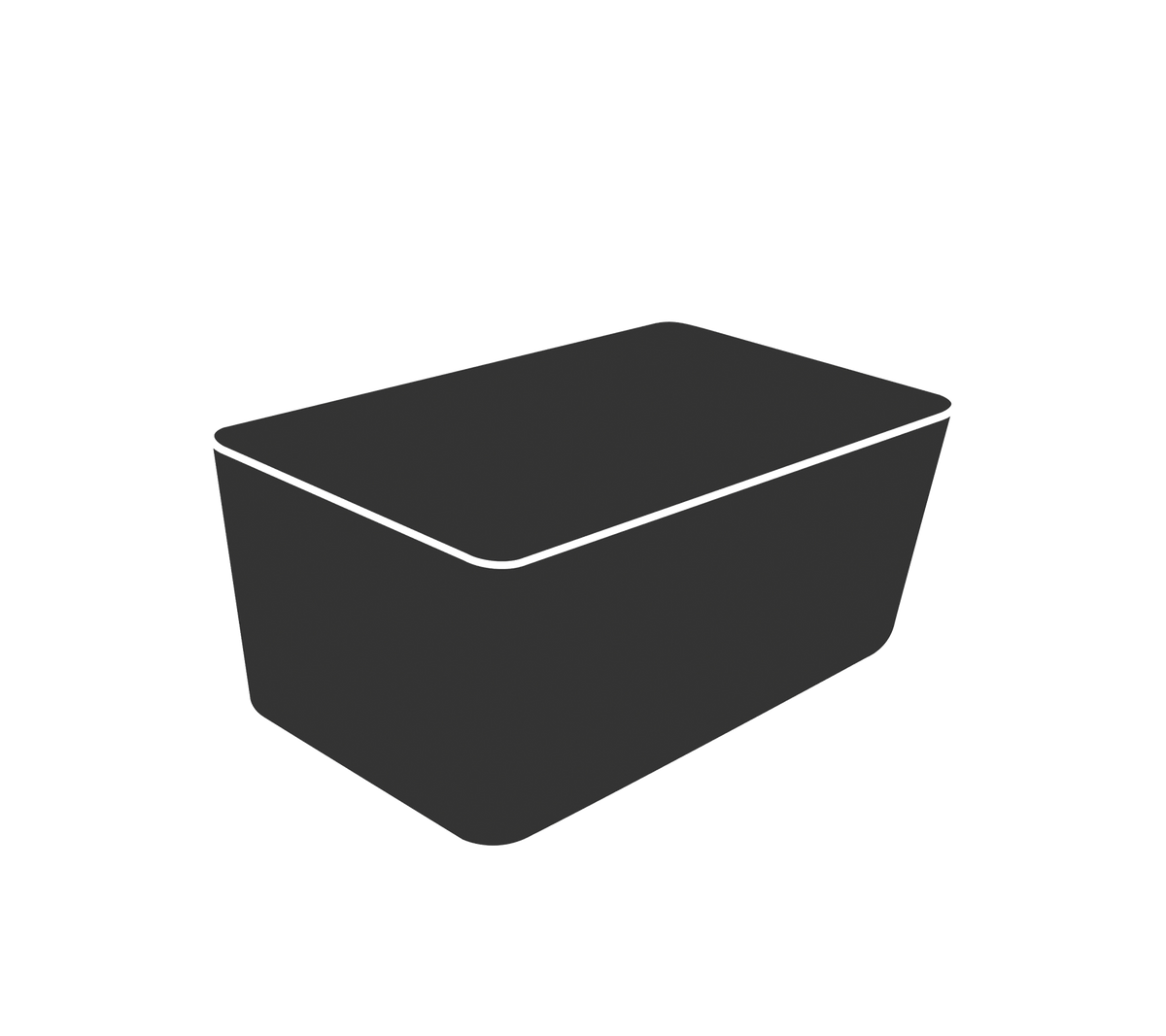 Un simple contenedor rectangular negro con una tapa plana, adecuado para almacenamiento u organización.