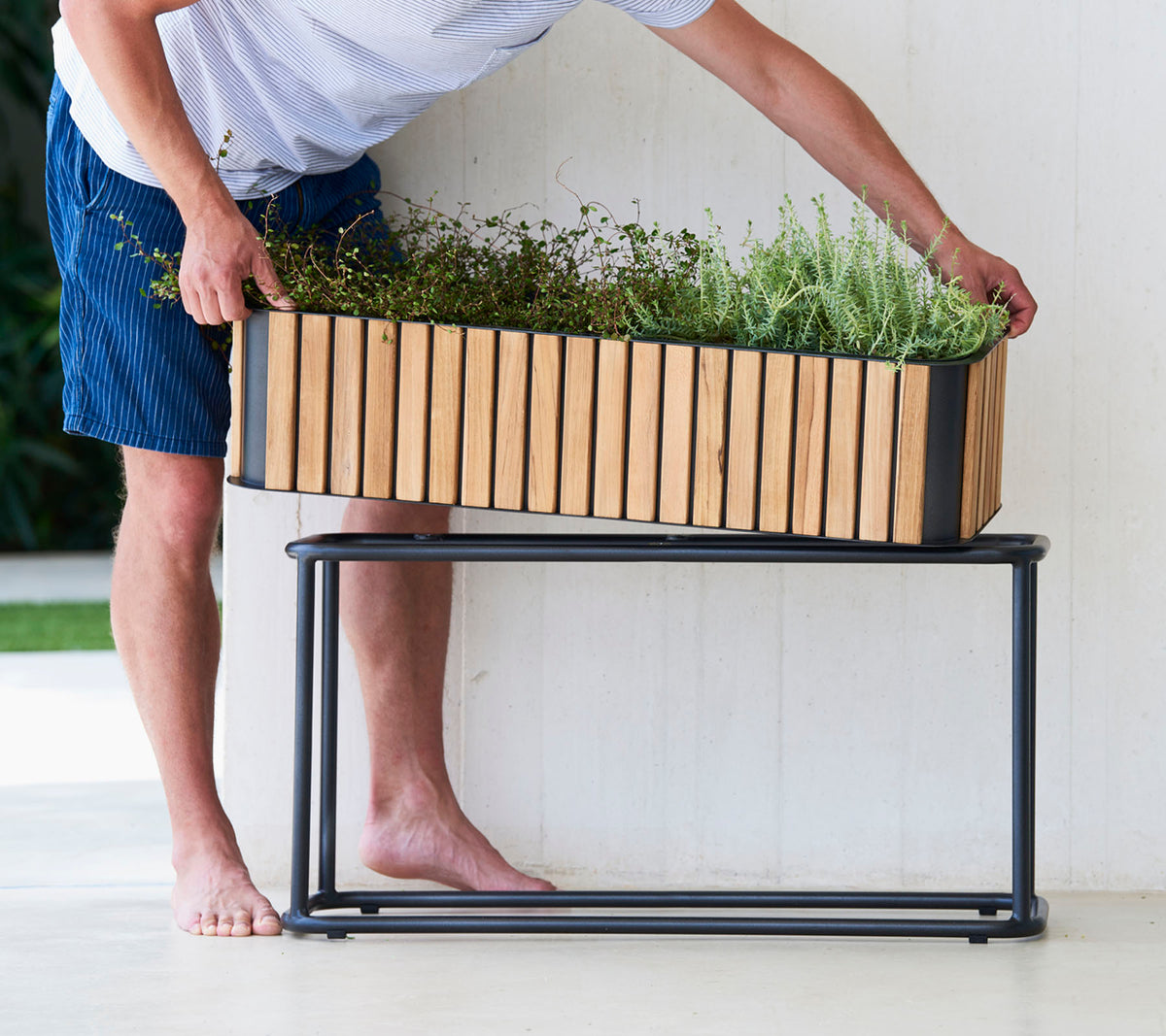 Una persona organiza plantas en un jardinero de madera sobre un elegante soporte de metal, exhibiendo una mezcla de elementos de diseño natural y moderno.