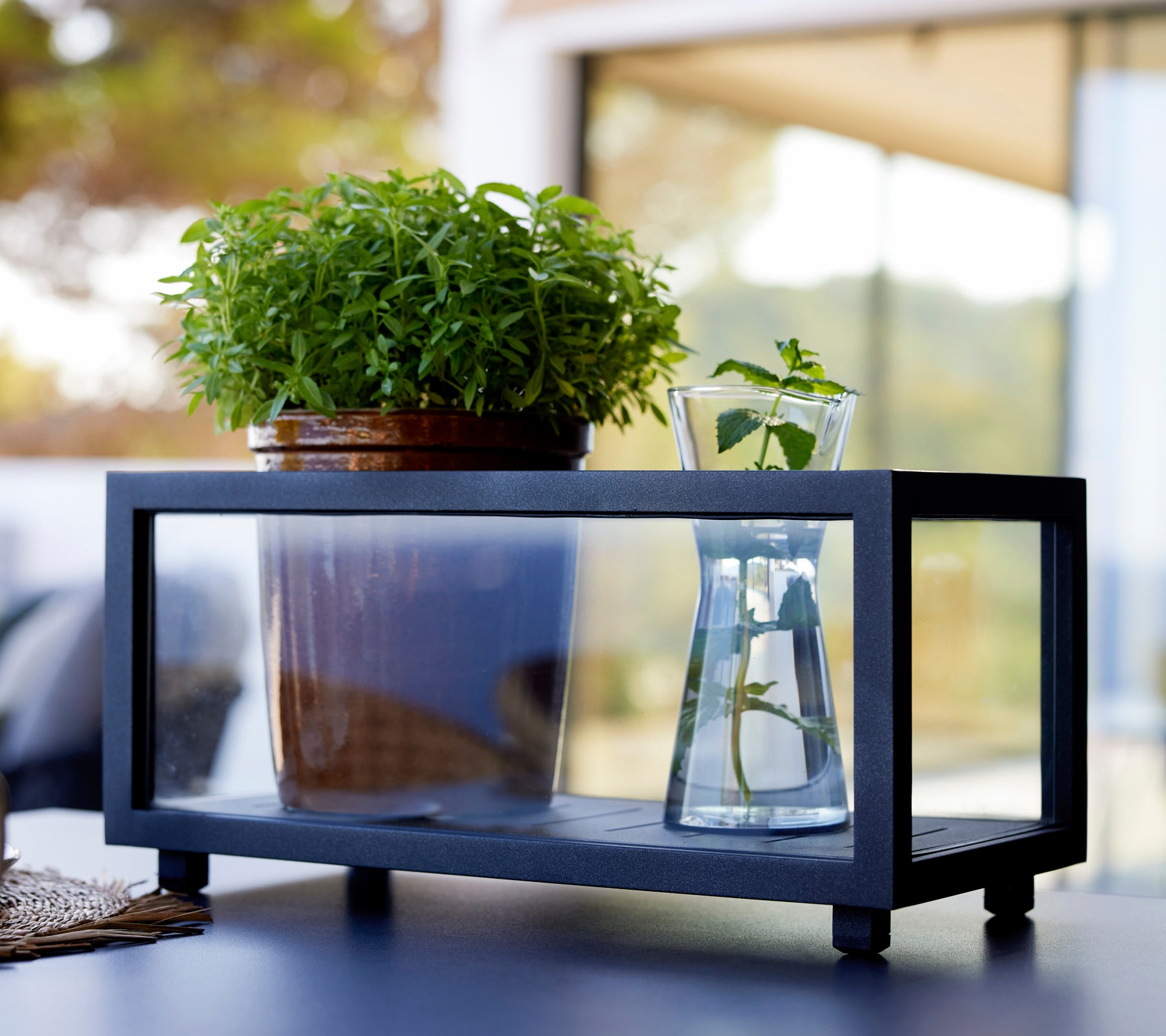 Caja de plantas negra con una planta verde y un jarrón de vidrio en un entorno moderno al aire libre.