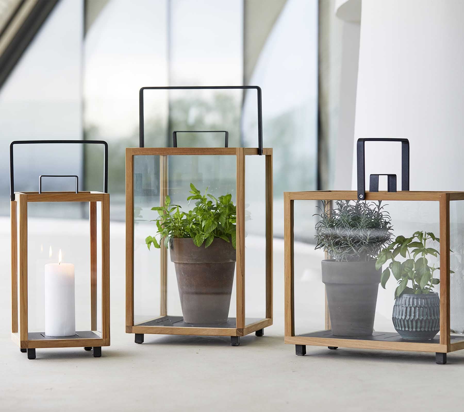 Tres elegantes faroles de vidrio con marcos de madera que exhiben una vela y plantas en macetas en su interior.