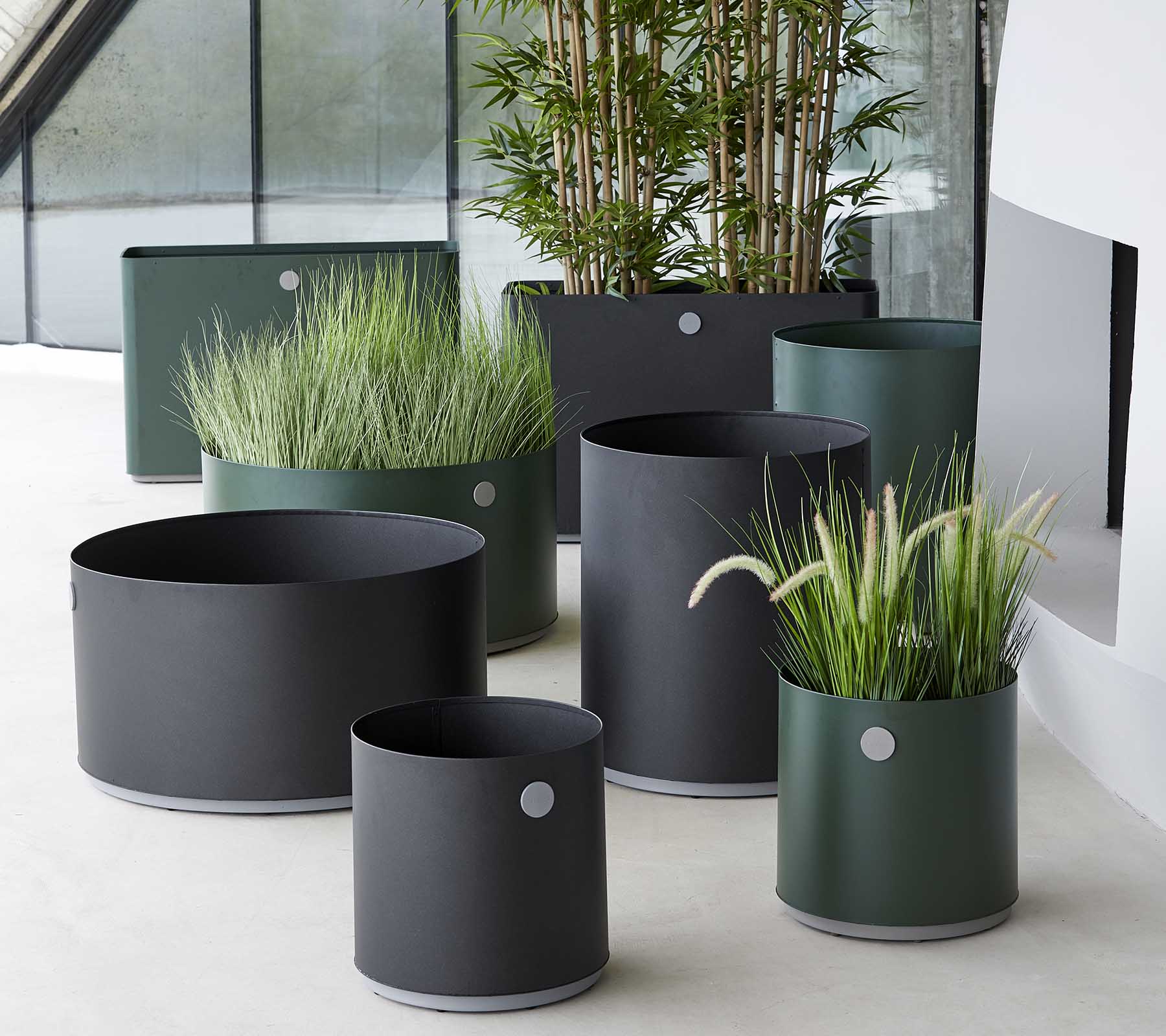 Varios maceteros modernos en tonos oscuros, con gramíneas ornamentales y plantas, dispuestos en un entorno elegante.