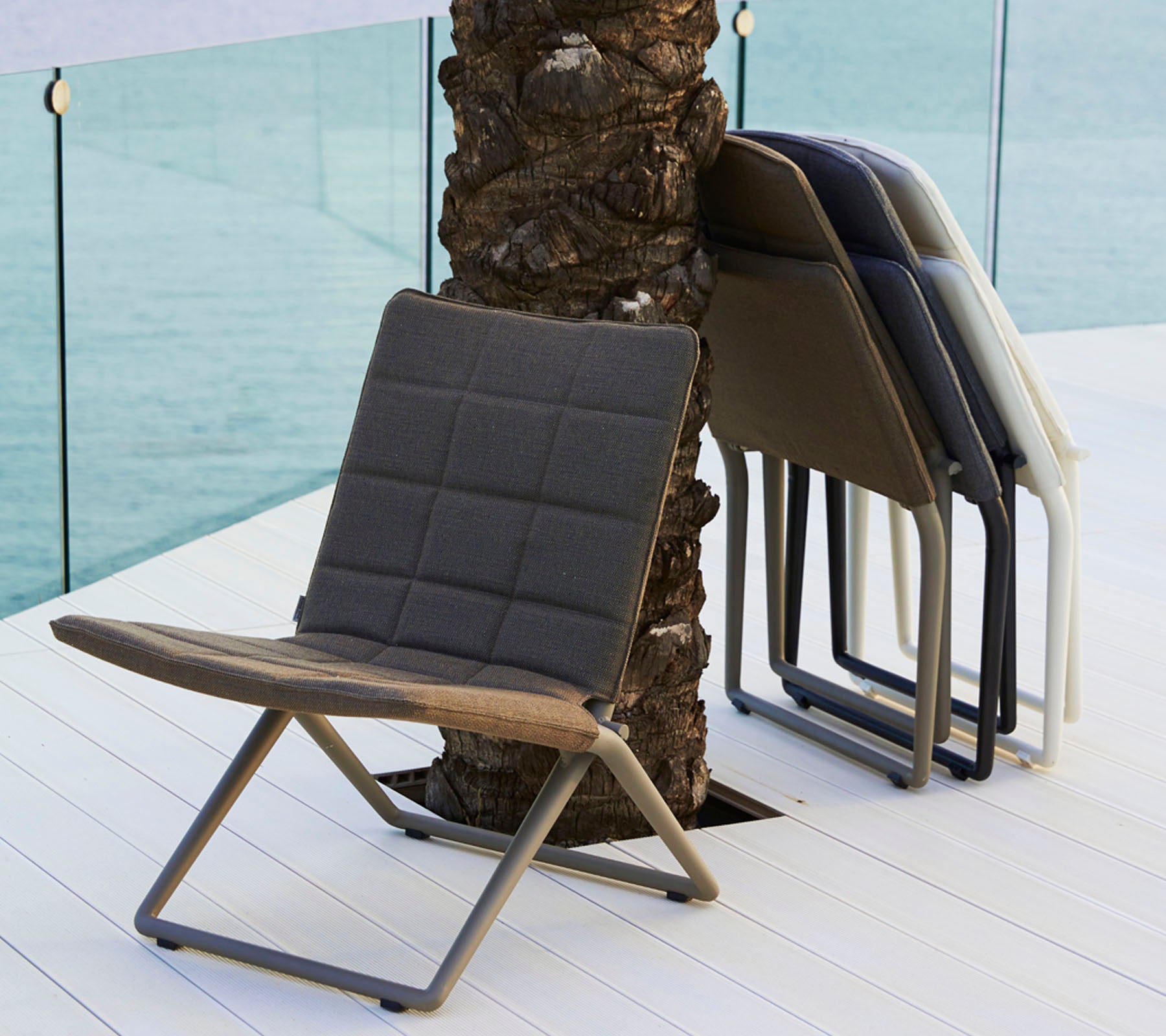 Dos sillas modernas y elegantes en diferentes colores, con un diseño contemporáneo y un marco de metal elegante, apoyadas contra una palmera.