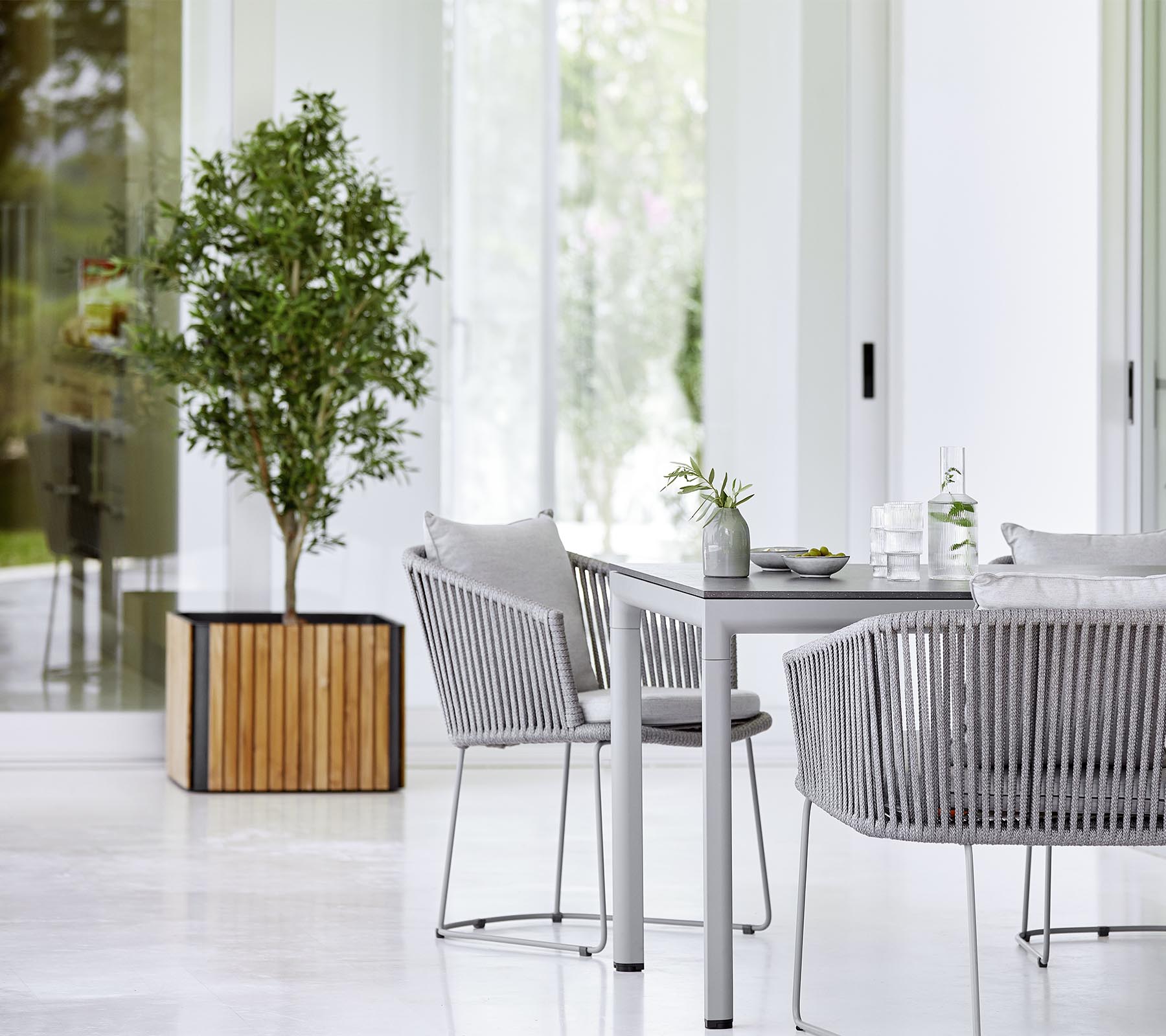 Un área de comedor moderna con una mesa elegante, sillas texturizadas y una planta decorativa en una maceta, creando un ambiente elegante y acogedor.