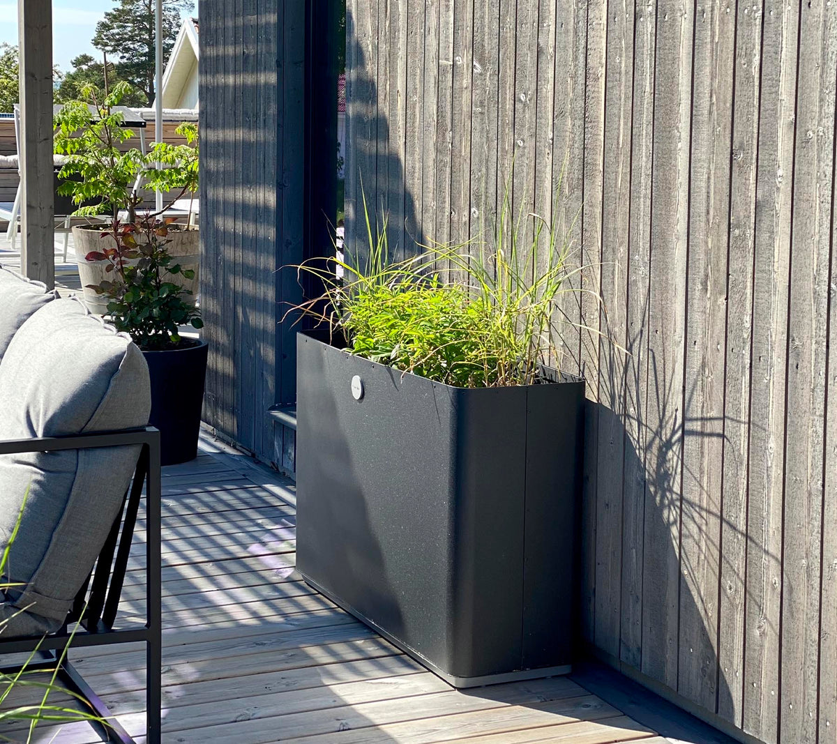 Una maceta moderna y elegante con un abundante follaje verde se sitúa contra una pared de madera texturizada, complementando el espacio circundante.