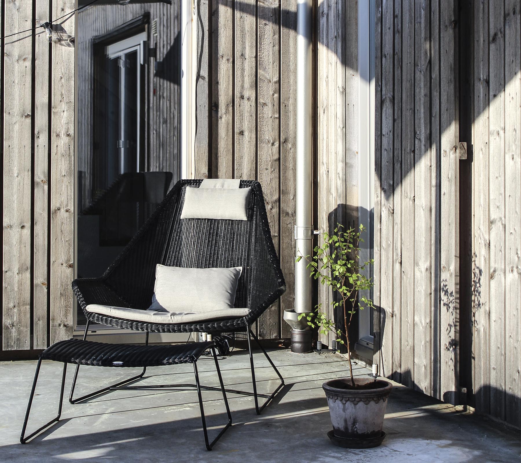 Una silla negra elegante con un cojín, situada junto a una pequeña planta en maceta contra un fondo de madera.