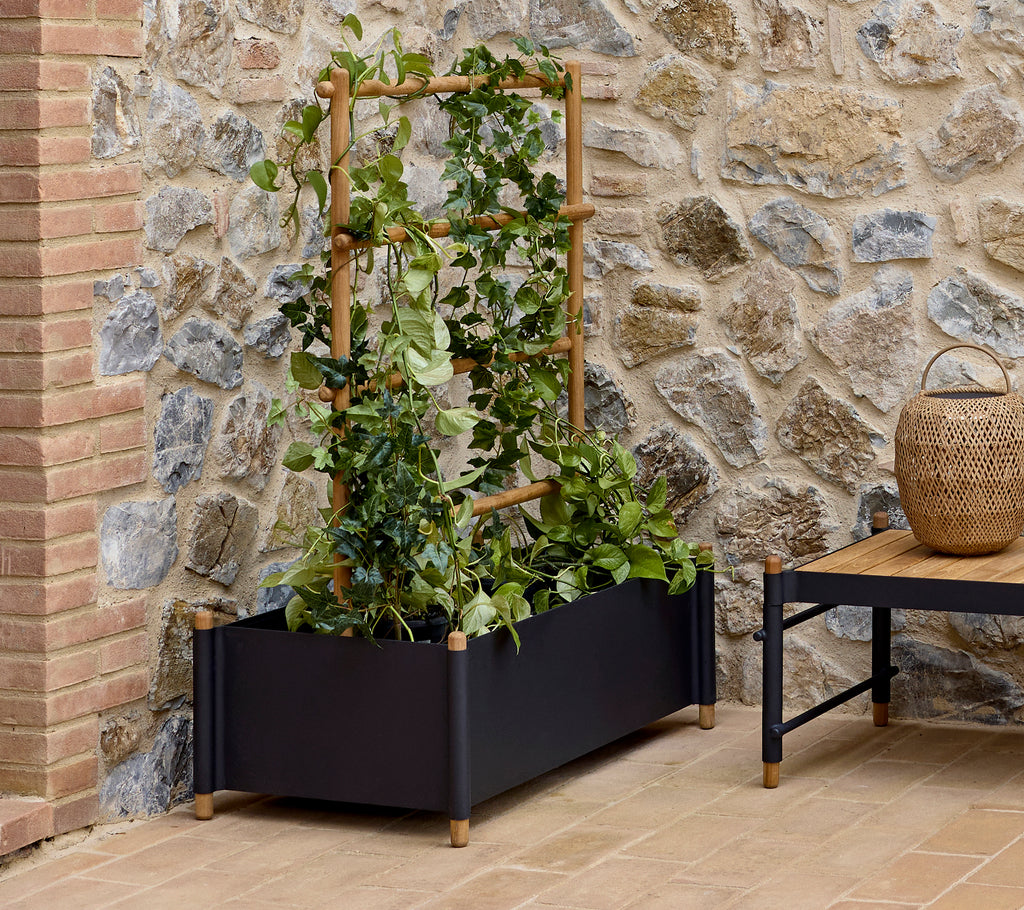 Gran macetero con palos decorativos, con exuberantes vides verdes, situado contra una pared de piedra con una estética natural.