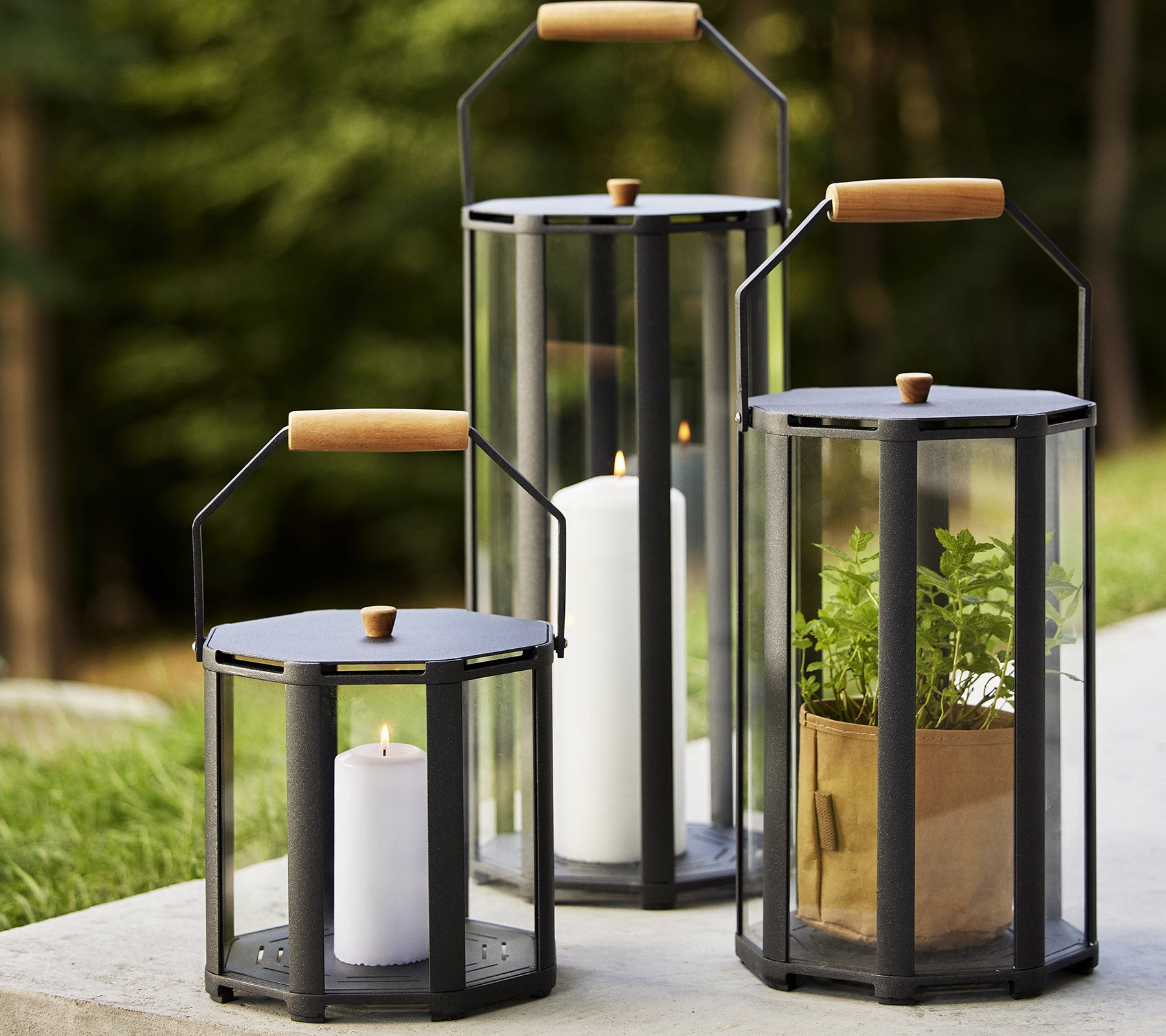 Tres faroles con mangos de madera, exhibiendo velas y plantas, con un fondo natural. Ideal para realzar la atmósfera.